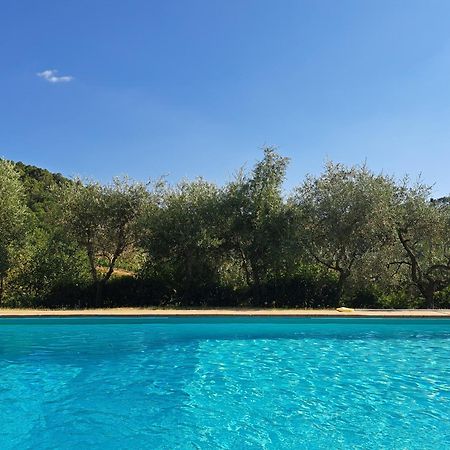 基安蒂格雷夫Agriturismo Poggio All'Olmo别墅 外观 照片