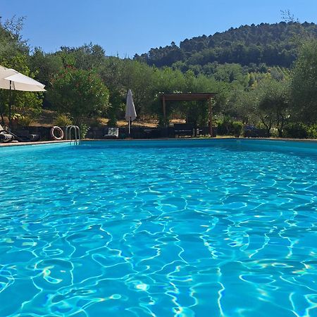基安蒂格雷夫Agriturismo Poggio All'Olmo别墅 外观 照片