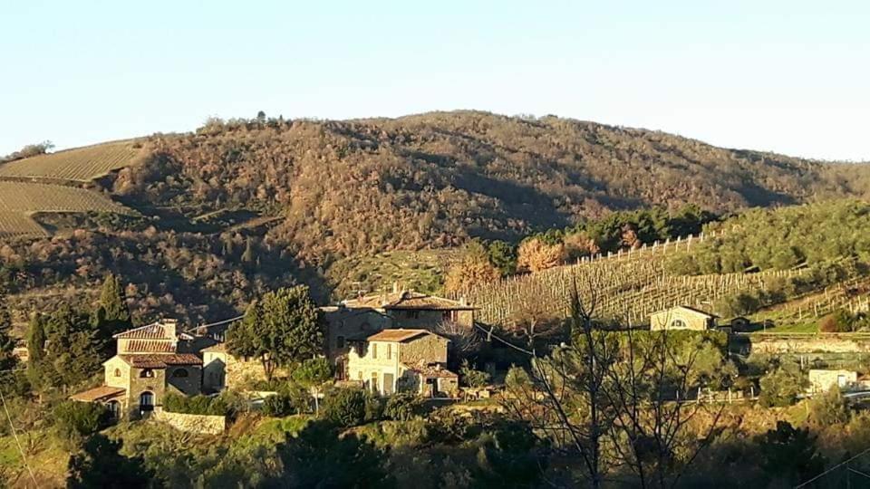 基安蒂格雷夫Agriturismo Poggio All'Olmo别墅 外观 照片