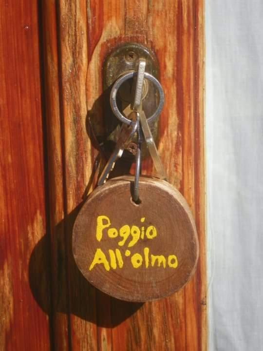 基安蒂格雷夫Agriturismo Poggio All'Olmo别墅 外观 照片