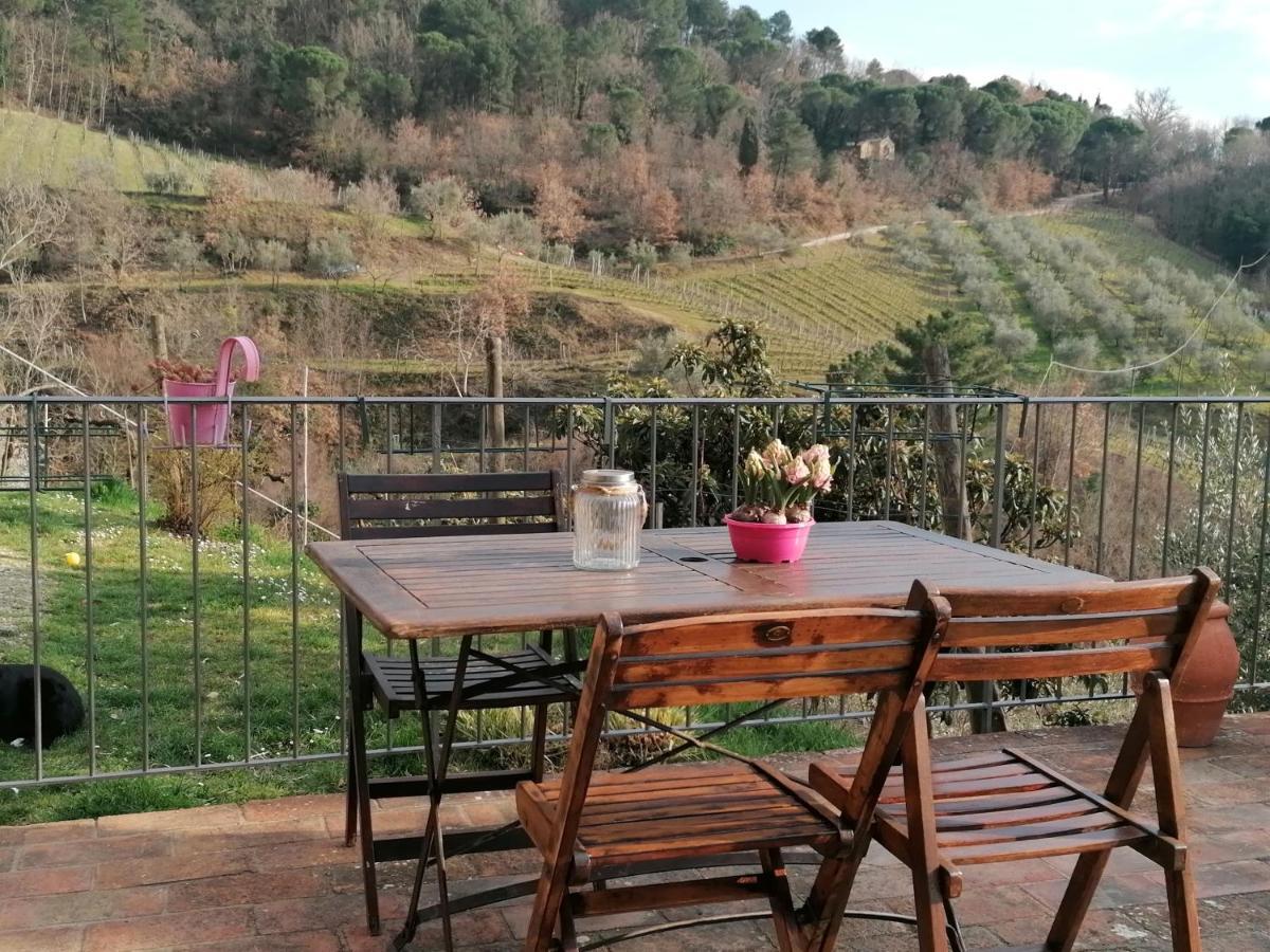 基安蒂格雷夫Agriturismo Poggio All'Olmo别墅 外观 照片