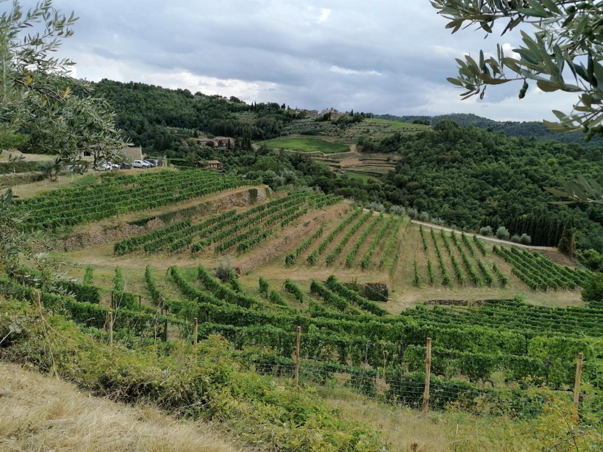 基安蒂格雷夫Agriturismo Poggio All'Olmo别墅 外观 照片