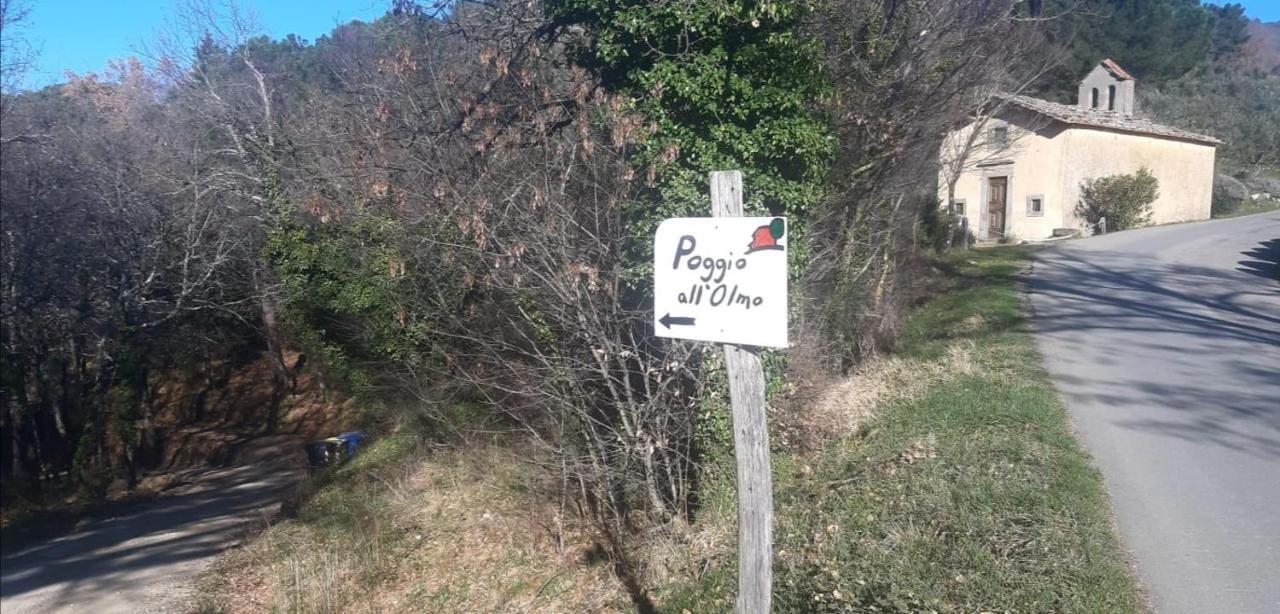 基安蒂格雷夫Agriturismo Poggio All'Olmo别墅 外观 照片
