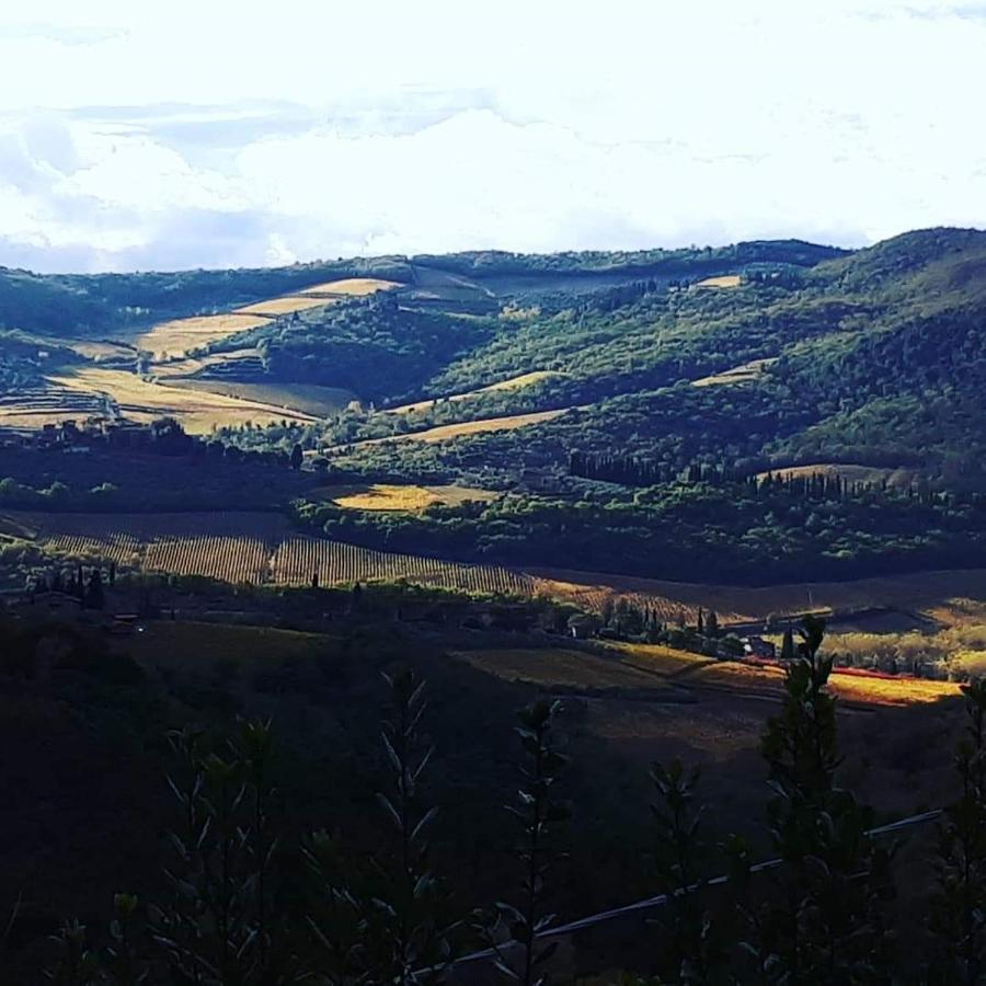 基安蒂格雷夫Agriturismo Poggio All'Olmo别墅 外观 照片