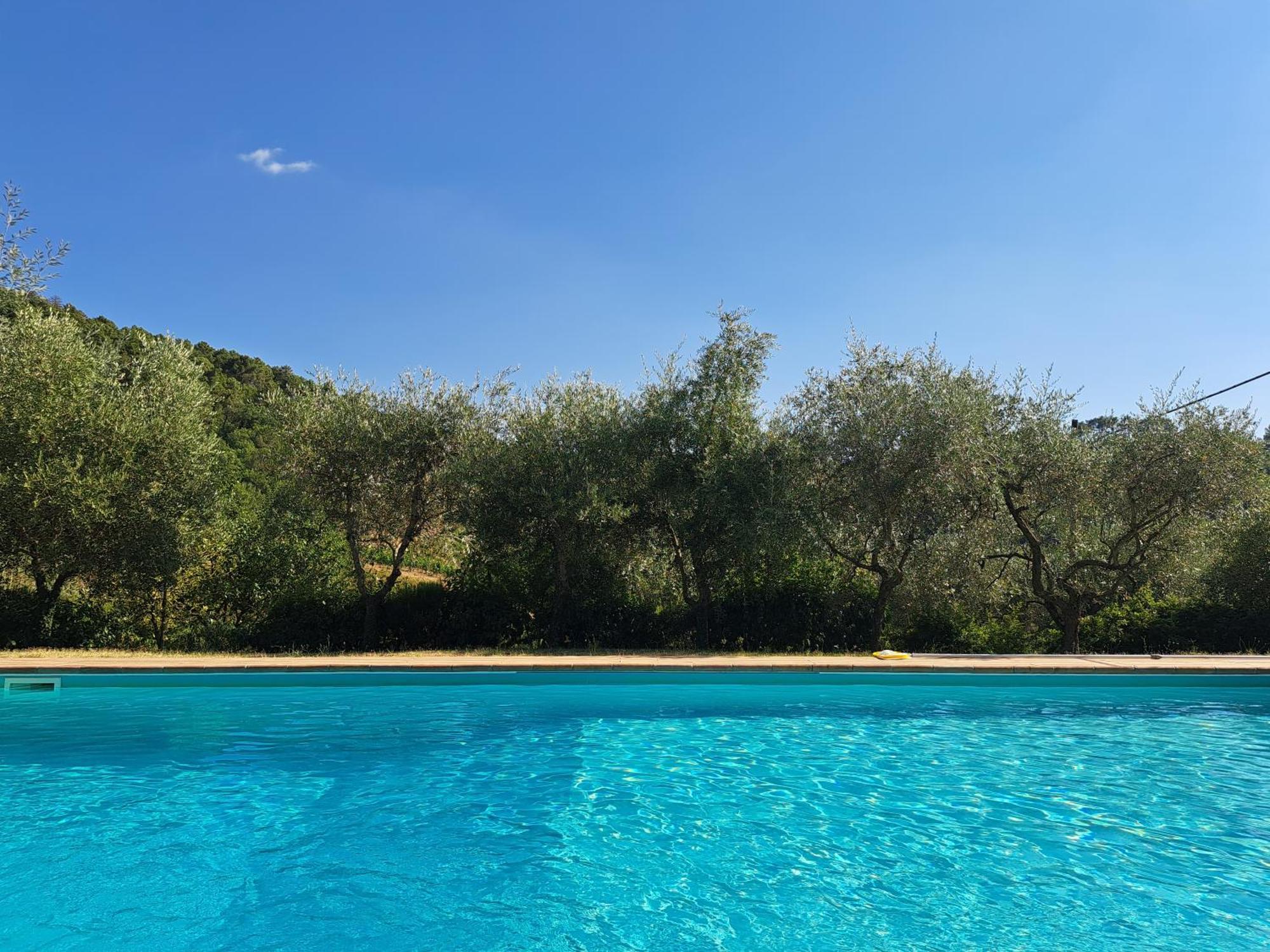 基安蒂格雷夫Agriturismo Poggio All'Olmo别墅 外观 照片