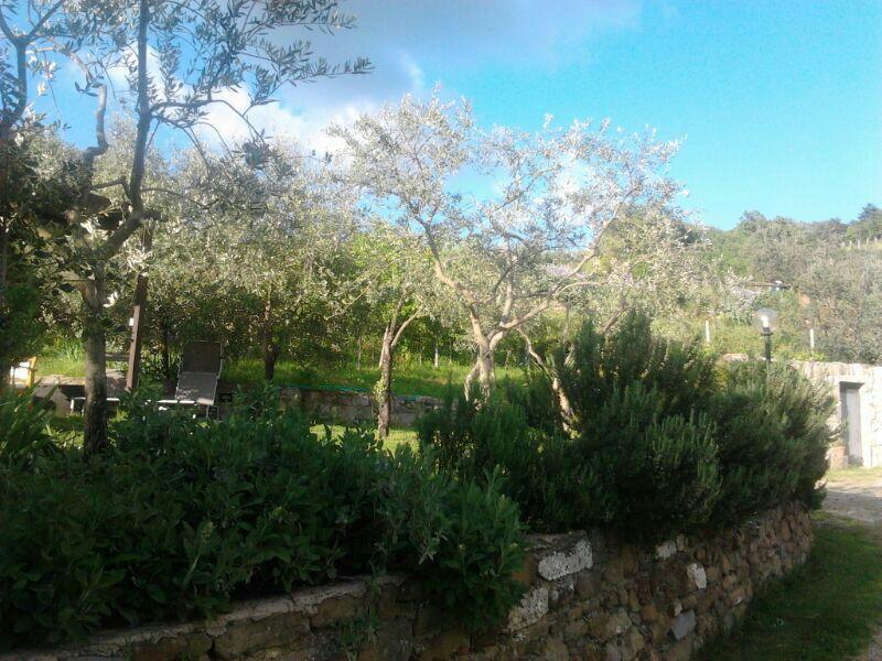 基安蒂格雷夫Agriturismo Poggio All'Olmo别墅 外观 照片