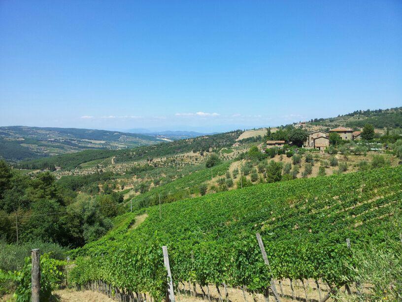 基安蒂格雷夫Agriturismo Poggio All'Olmo别墅 外观 照片