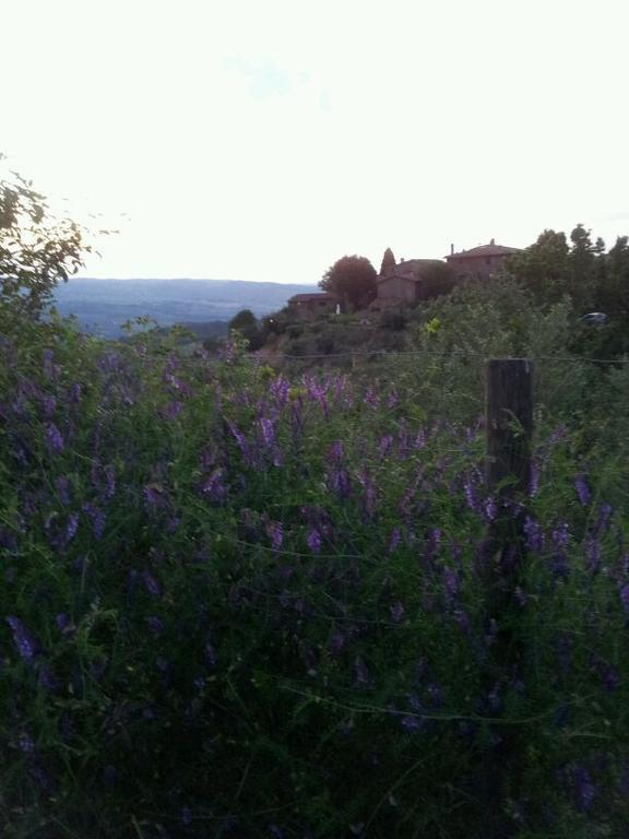 基安蒂格雷夫Agriturismo Poggio All'Olmo别墅 外观 照片