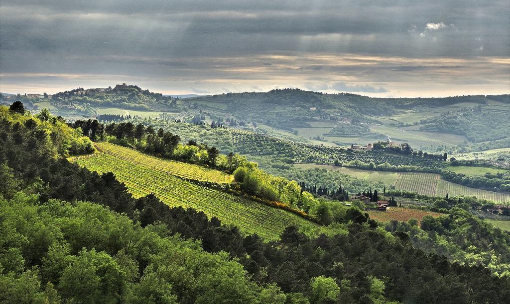 基安蒂格雷夫Agriturismo Poggio All'Olmo别墅 外观 照片