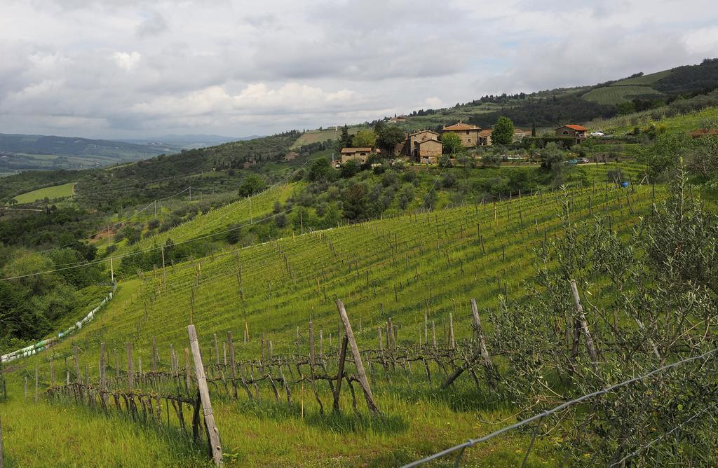 基安蒂格雷夫Agriturismo Poggio All'Olmo别墅 外观 照片