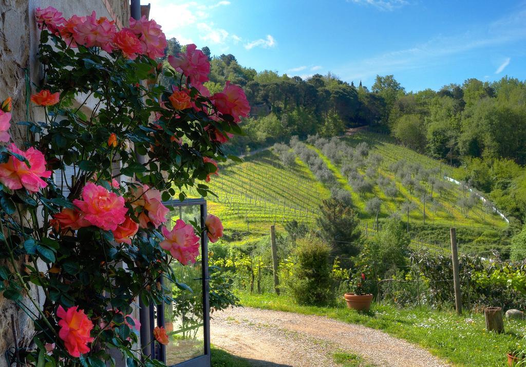 基安蒂格雷夫Agriturismo Poggio All'Olmo别墅 外观 照片