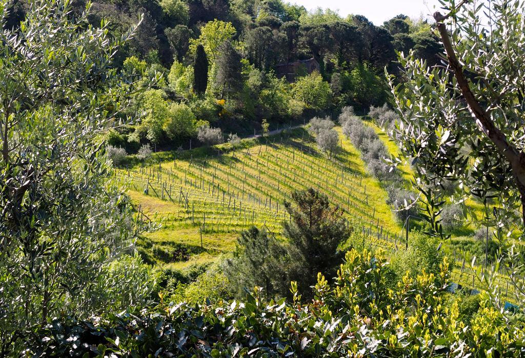 基安蒂格雷夫Agriturismo Poggio All'Olmo别墅 外观 照片