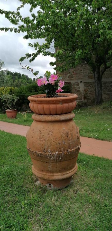 基安蒂格雷夫Agriturismo Poggio All'Olmo别墅 外观 照片